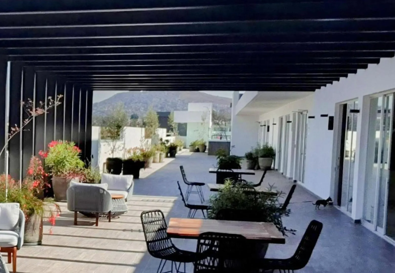 Apartamento Zona Sur Con Alberca Y Vista A La Ciudad location